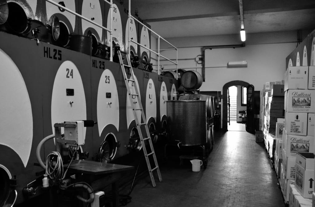 Azienda Agricola e Agriturismo Vallorsi Terricciola Esterno foto